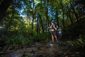 BIB: 
                            <button type="button" onclick="openModal(19229791)" class="btn btn-primary btn-sm float-right btn-popup" data-toggle="modal" data-target=".modal-high-quality">
                        <i class="fas fa-shopping-cart"></i> Add to Cart
                    </button>
                                            <button type="button" onclick="isThisMe(19229791, true)" class="btn btn-success btn-sm float-right btn-popup btn-isme hidden" data-toggle="tooltip" data-placement="bottom" title="นี่คือรูปของคุณใช่ไหม คลิกที่นี่เพื่อเอาเข้าอัลบั้ม">
                        <i class="fas fa-plus"></i> Add to album
                    </button>
                    <button type="button" onclick="isThisMe(19229791, false)" class="btn btn-warning btn-sm float-right btn-popup btn-isnotme hidden">
                        <i class="fas fa-ban"></i> Remove from album
                    </button>